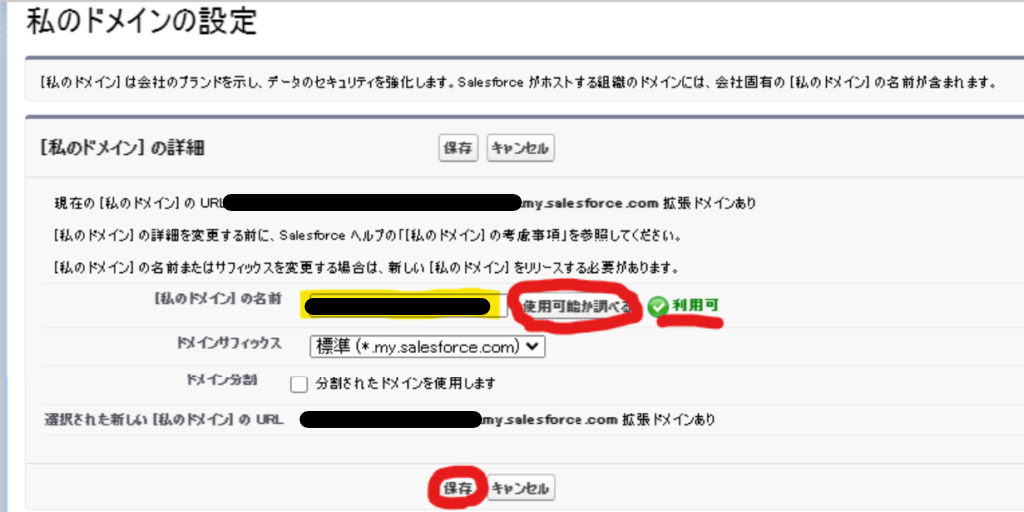 新ドメインを入力し「使用可能か調べる」をクリック、「利用可」なら保存する