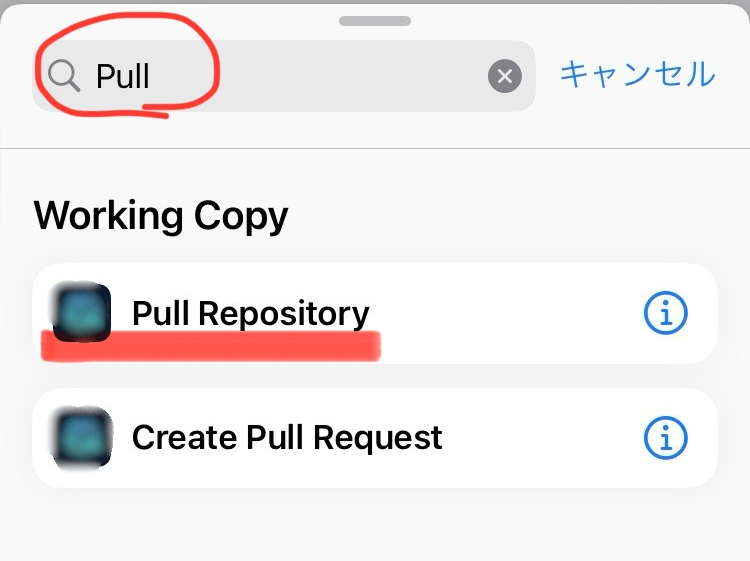 Pull Repository